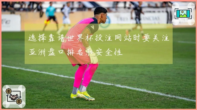 选择靠谱世界杯投注网站时要关注亚洲盘口排名和安全性