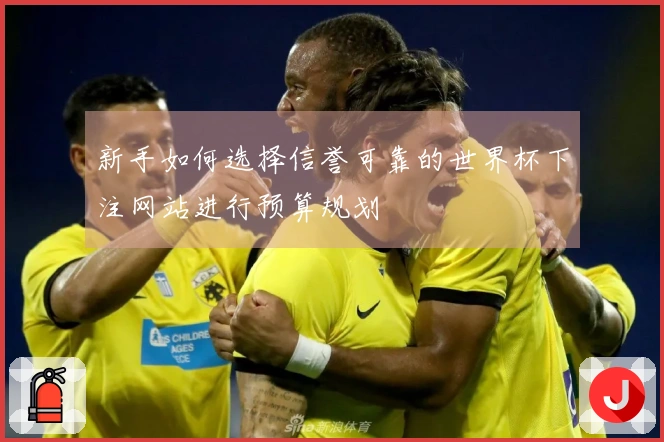 新手如何选择信誉可靠的世界杯下注网站进行预算规划
