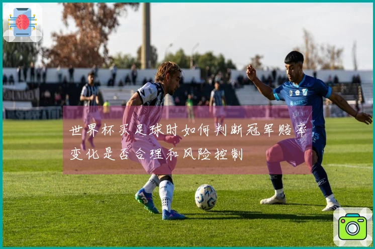 世界杯买足球时如何判断冠军赔率变化是否合理和风险控制