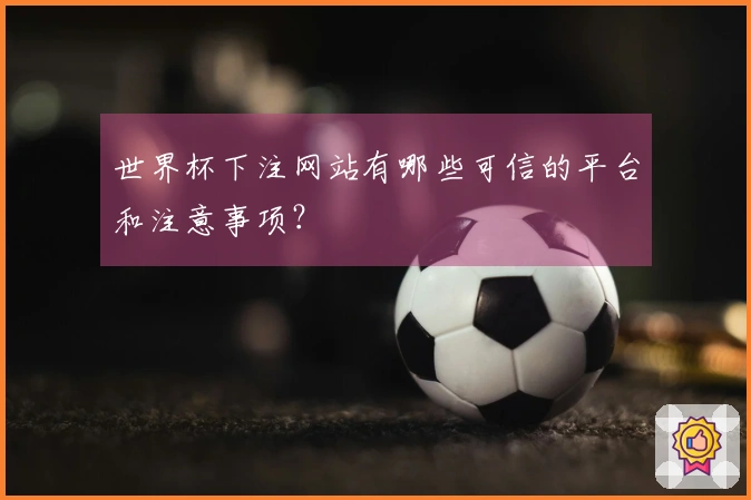 世界杯下注网站有哪些可信的平台和注意事项？