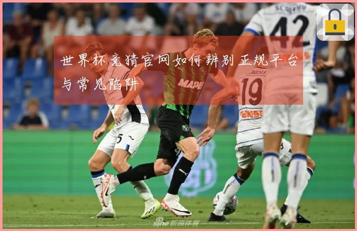 世界杯竞猜官网如何辨别正规平台与常见陷阱