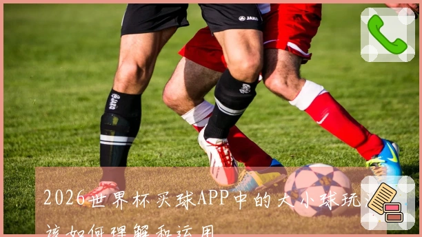 2026世界杯买球APP中的大小球玩法该如何理解和运用