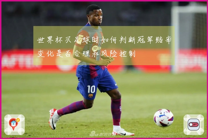世界杯买足球时如何判断冠军赔率变化是否合理和风险控制