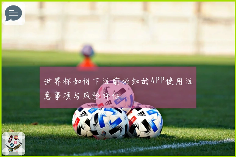 世界杯如何下注前必知的APP使用注意事项与风险评估